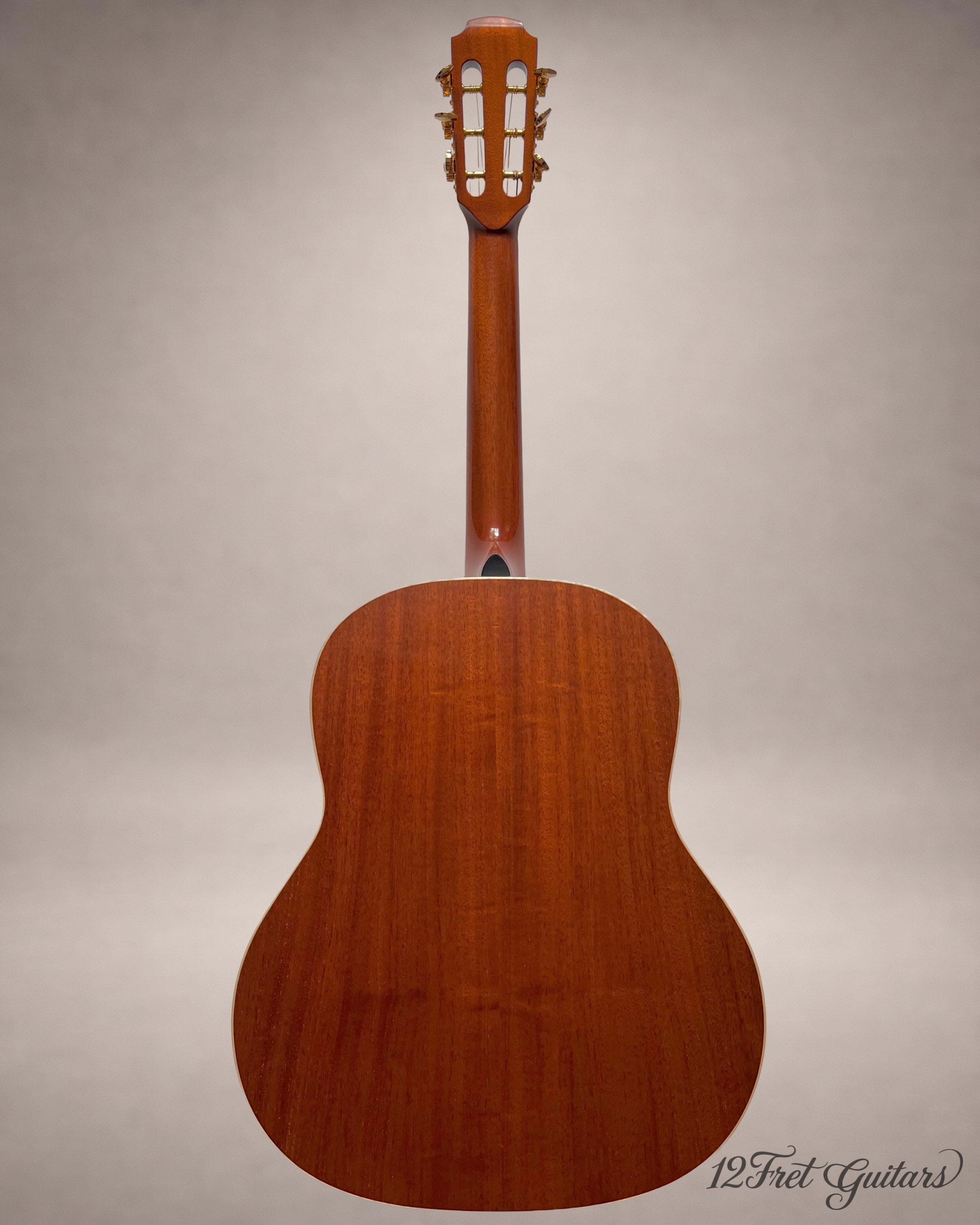 Avalon D10 SD (2026) Akustikgitarre Details