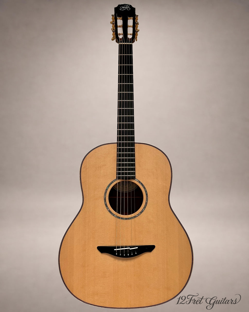 Avalon D10 SD (2026) Akustikgitarre Details