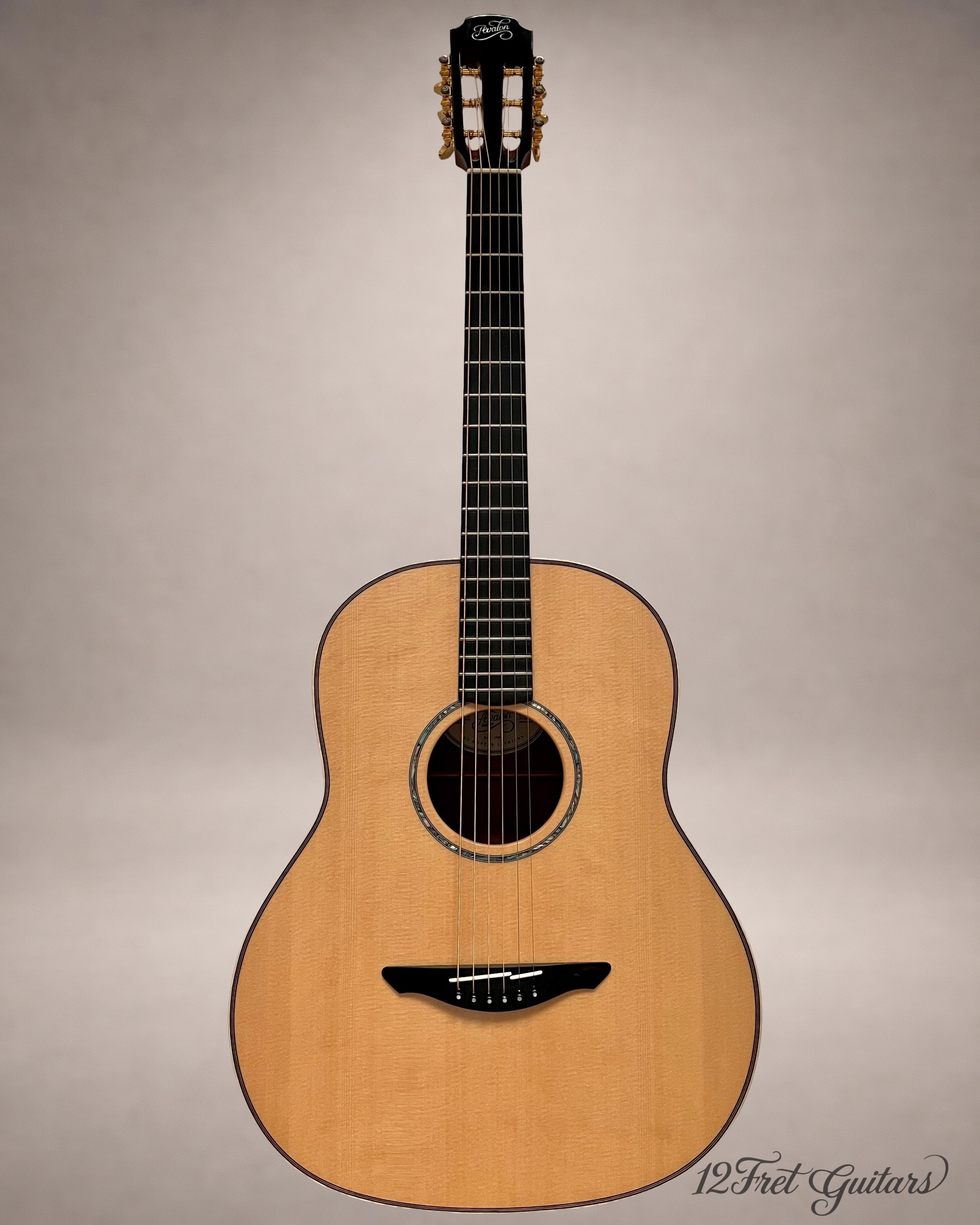 Avalon D10 SD (2026) Akustikgitarre Details