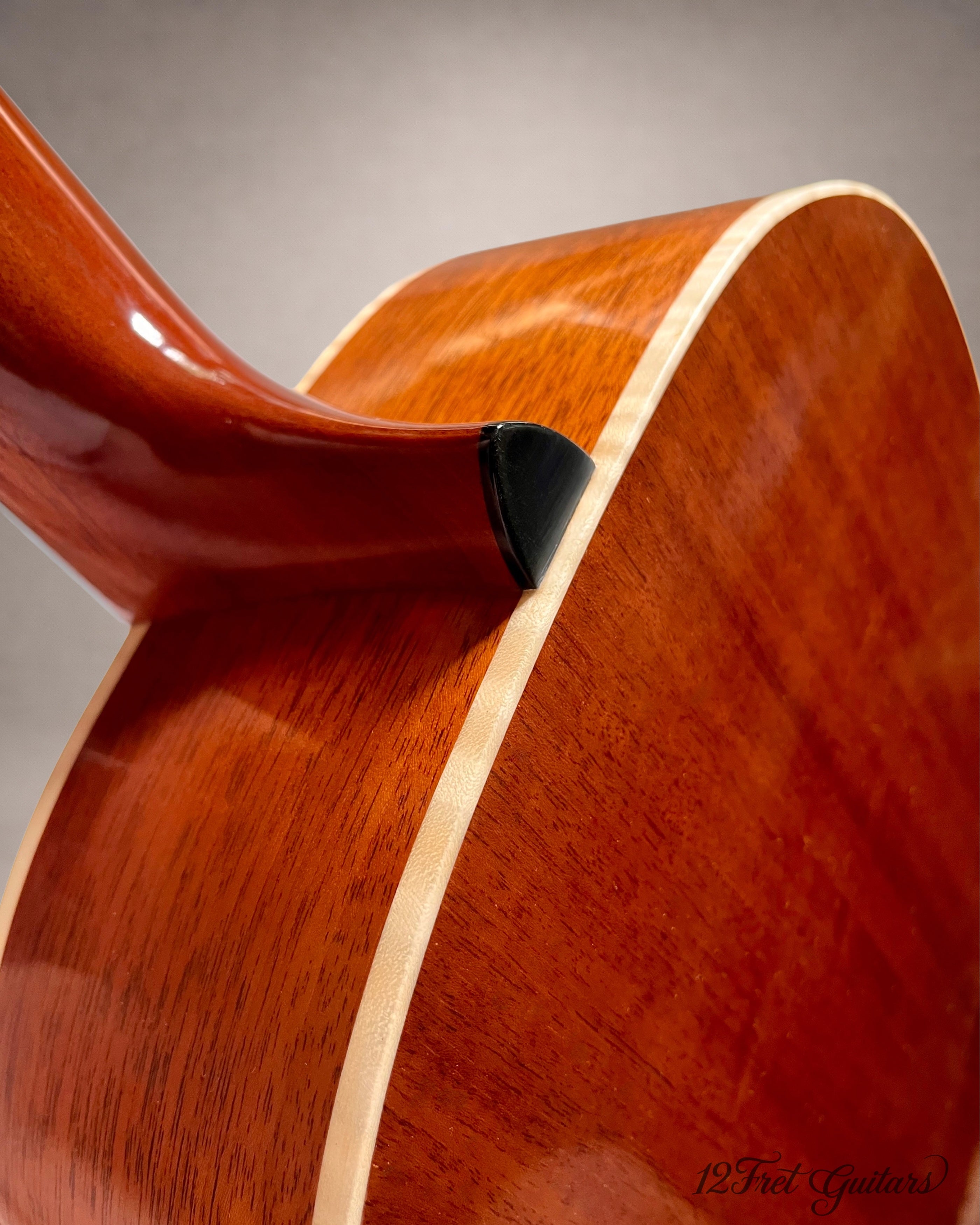 Avalon D10 SD (2026) Akustikgitarre Details