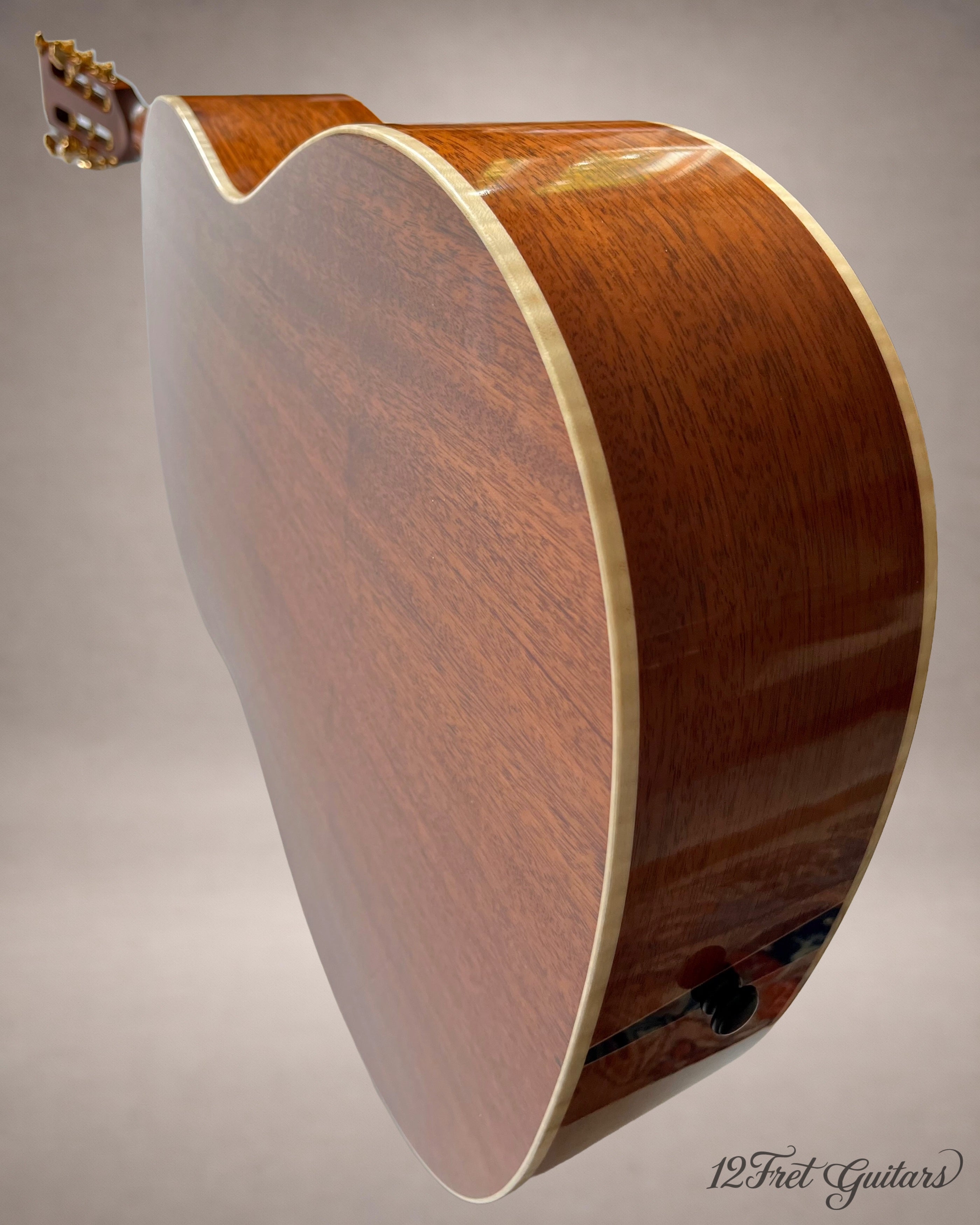 Avalon D10 SD (2026) Akustikgitarre Details