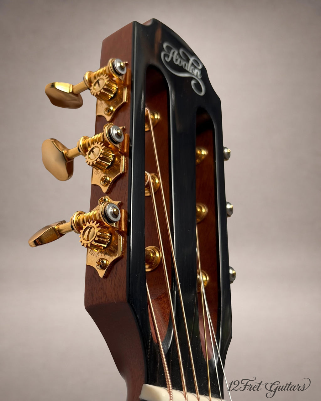 Avalon D10 SD (2026) Akustikgitarre Details