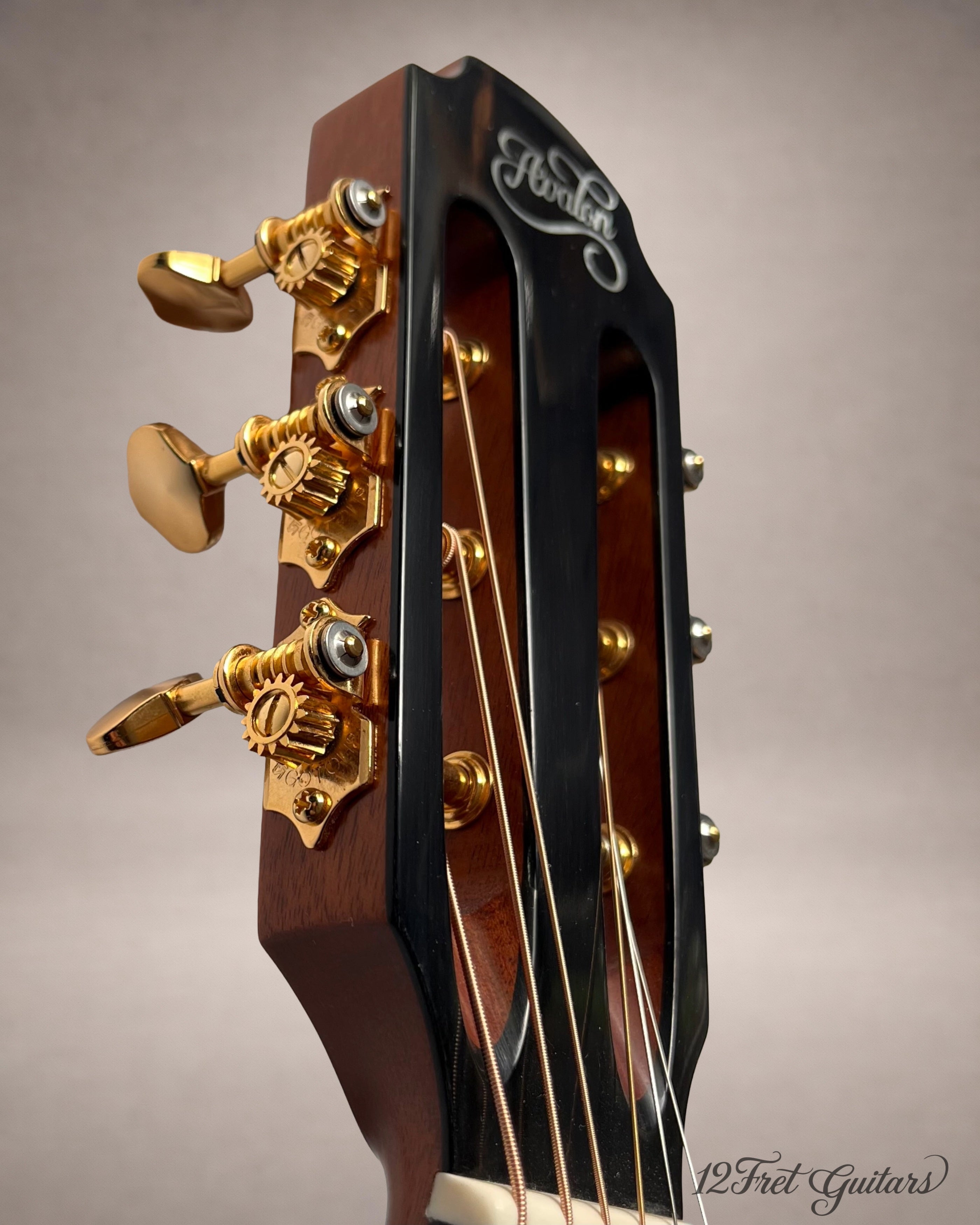 Avalon D10 SD (2026) Akustikgitarre Details