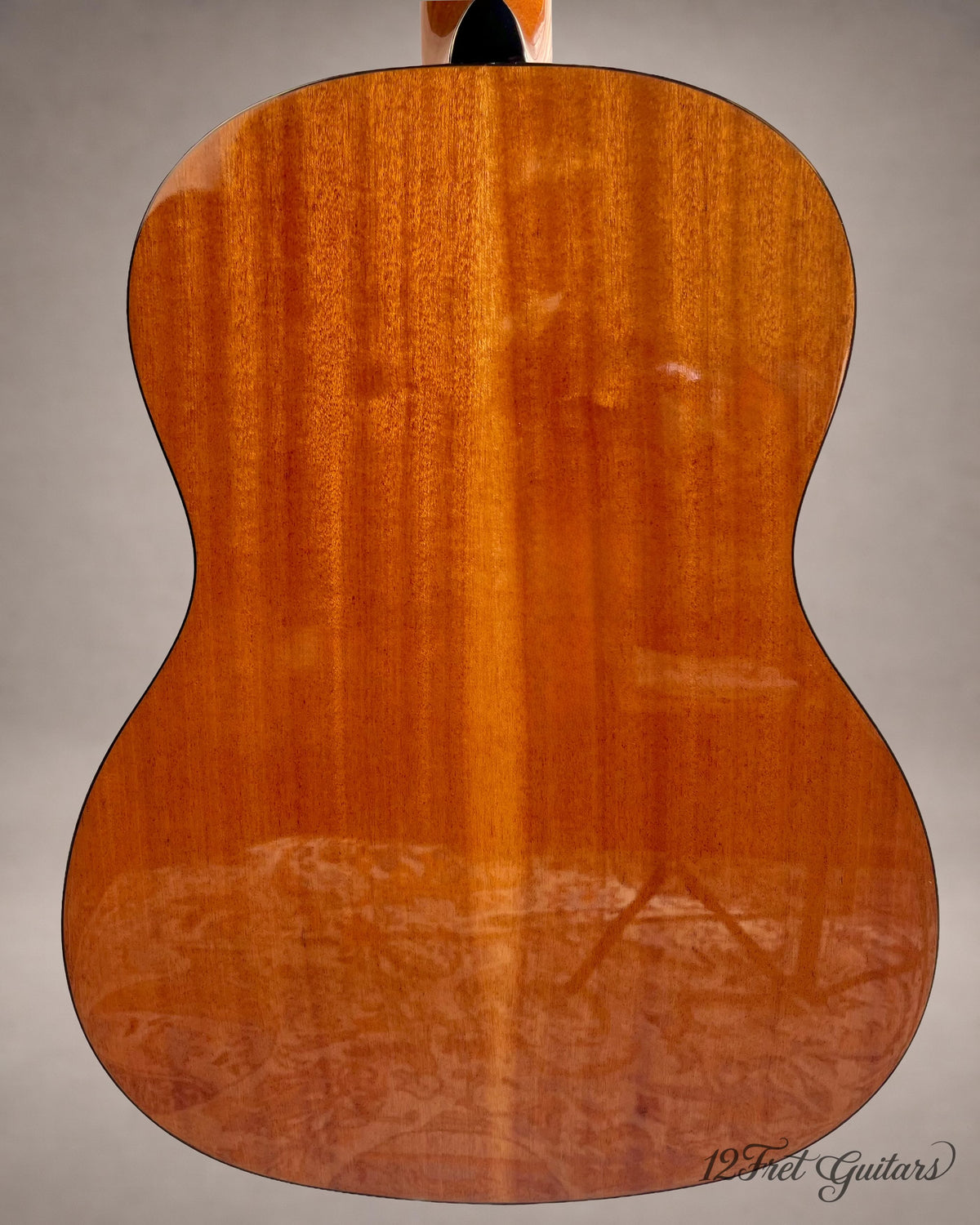 Fender Sonoran Mini 3/4 – Korpusrückseite mit Holzmaserung und glänzendem Finish