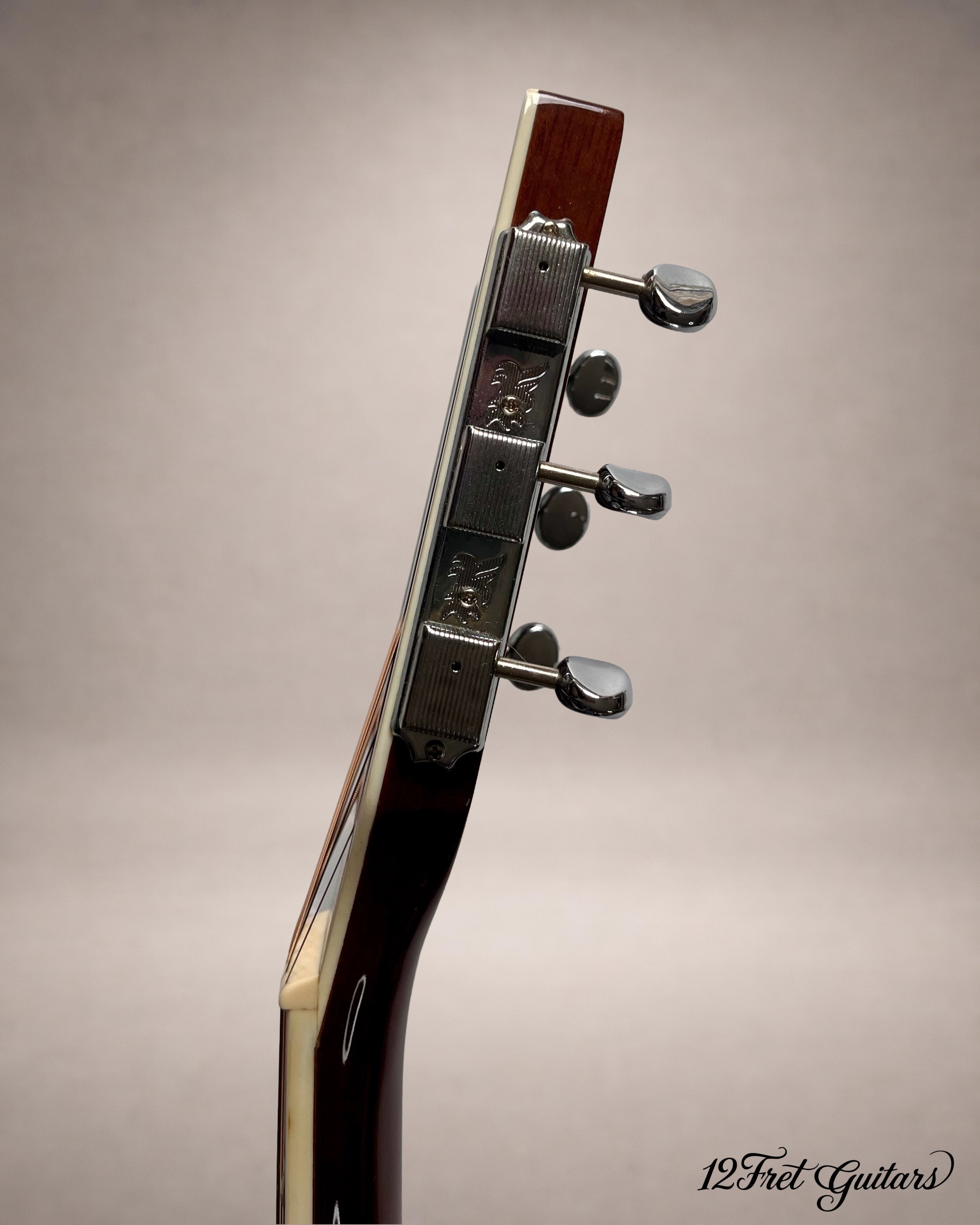 Richwood RV-70 (2008) Akustikgitarre Details