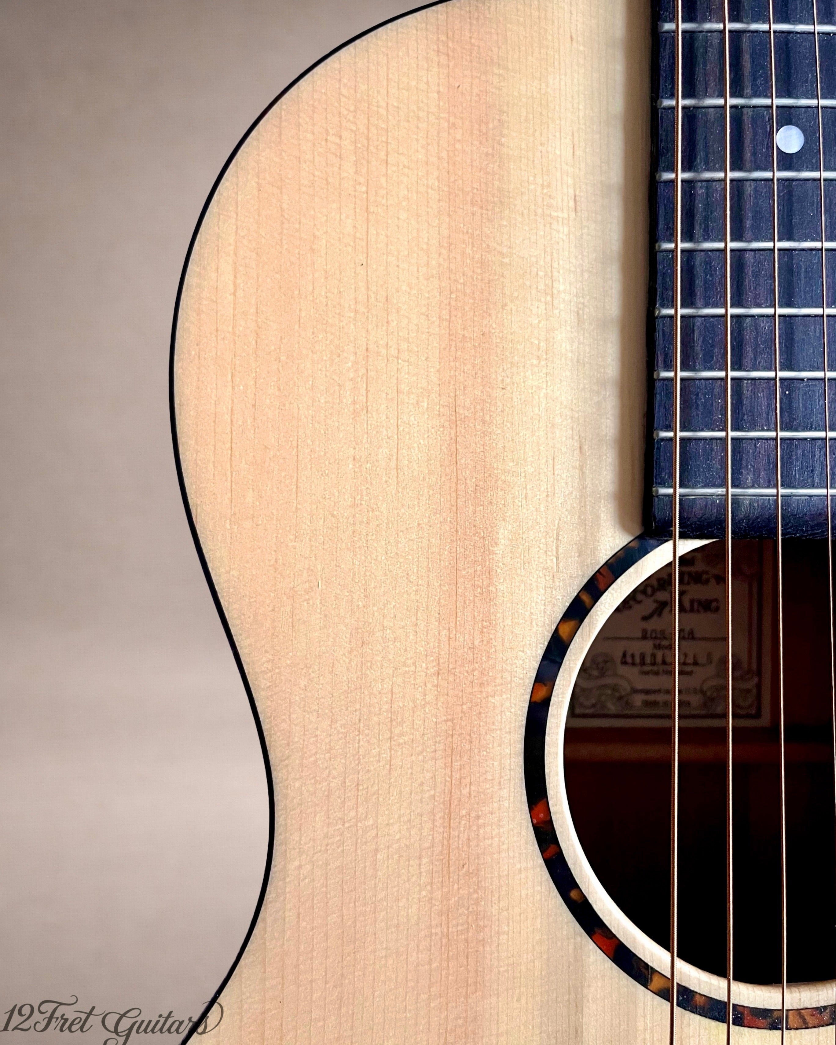 Recording King ROS-G6 (2018) Akustikgitarre Details