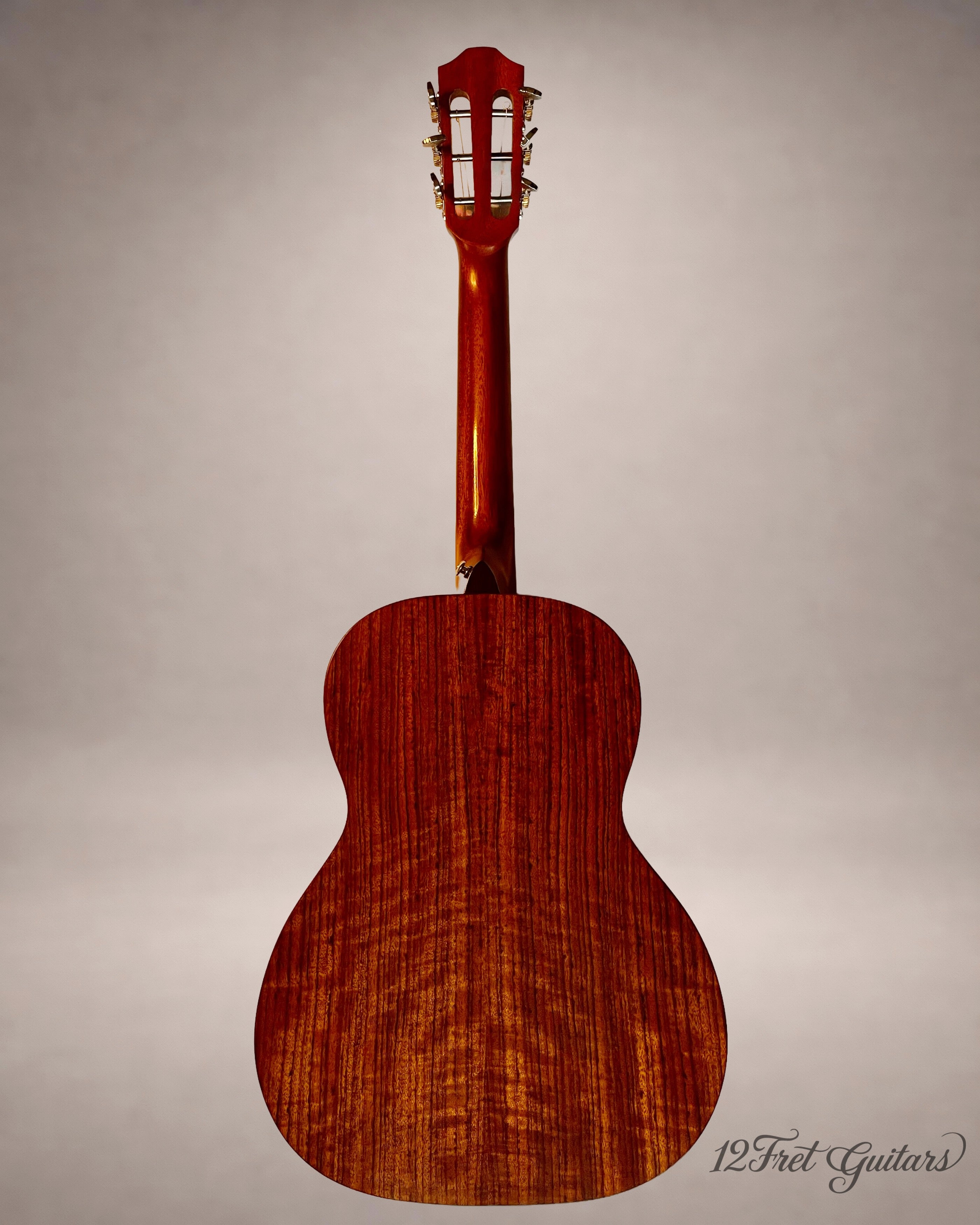 Rotus PA-350 NA (2021) Akustikgitarre Details