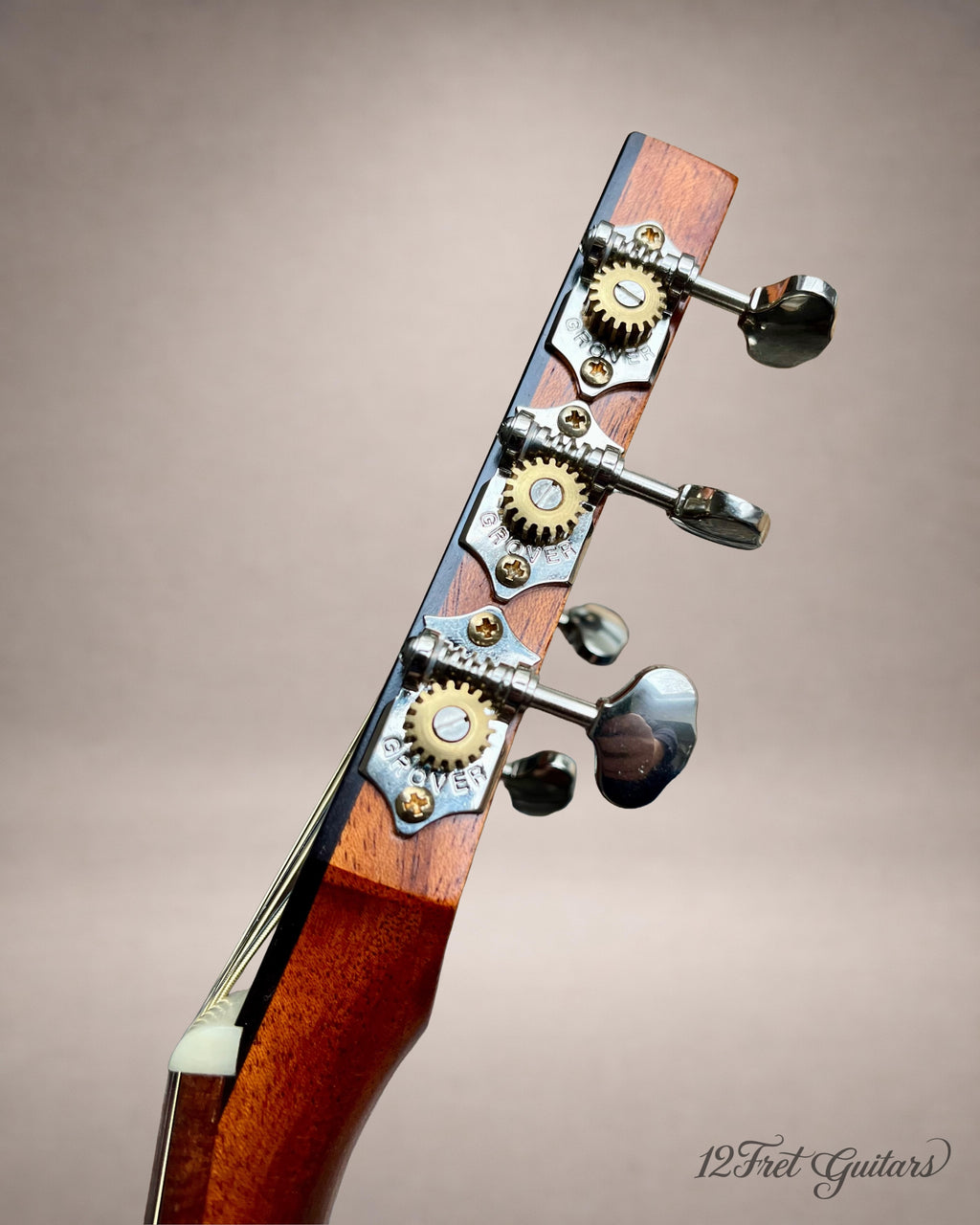 Rotus PA-350 NA (2021) Akustikgitarre Details