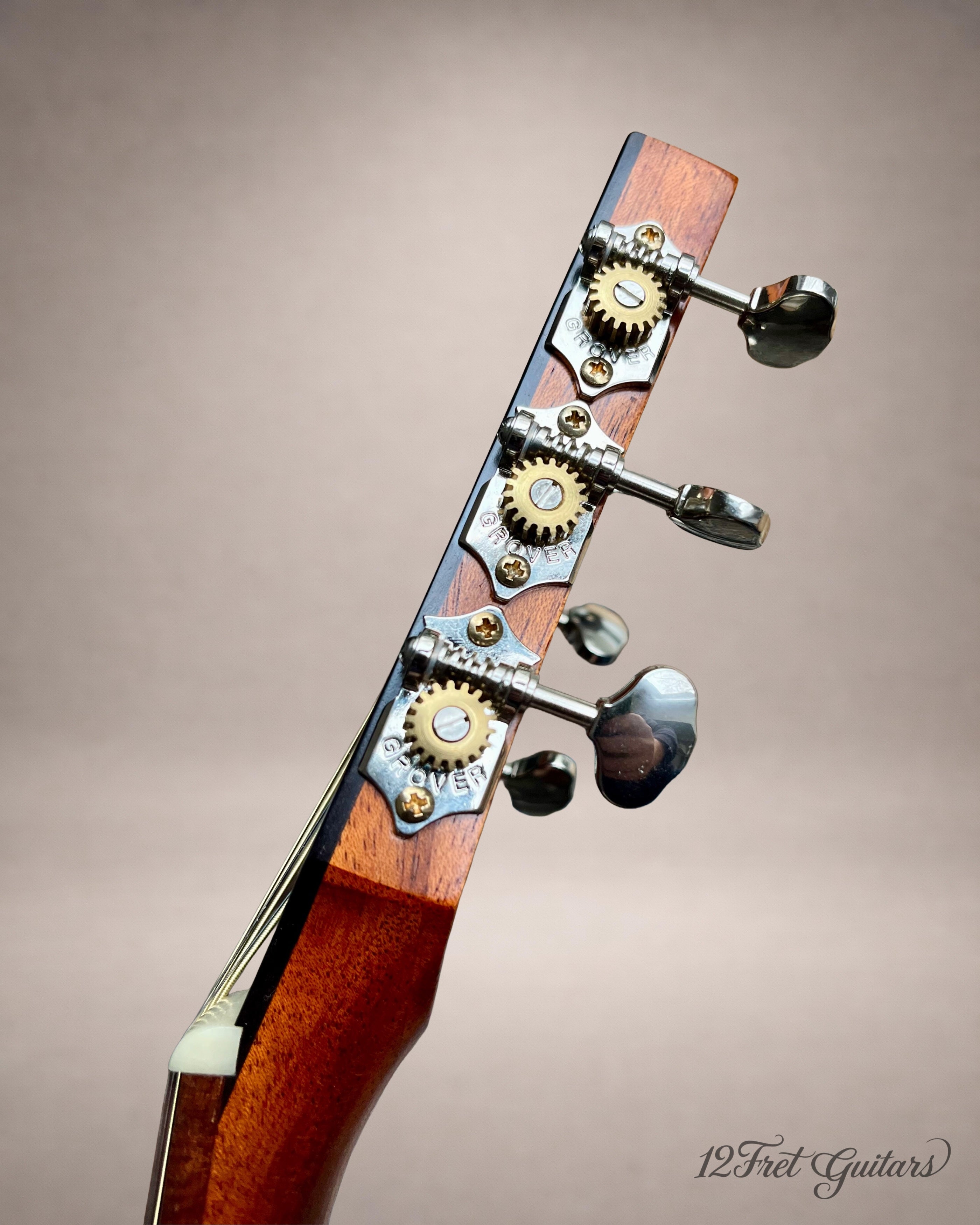 Rotus PA-350 NA (2021) Akustikgitarre Details