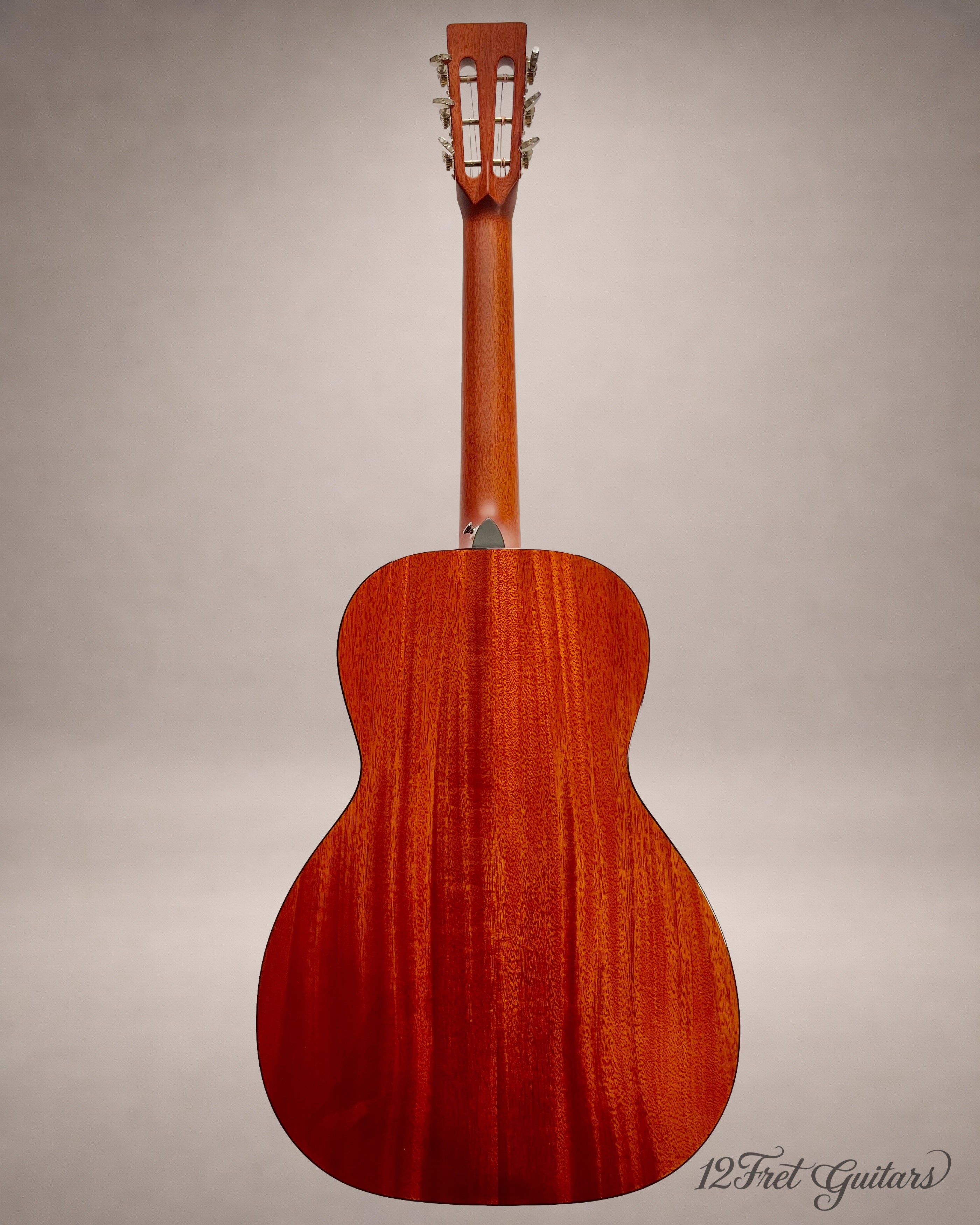 Stanford P-10 GE (2023) Akustikgitarre Details