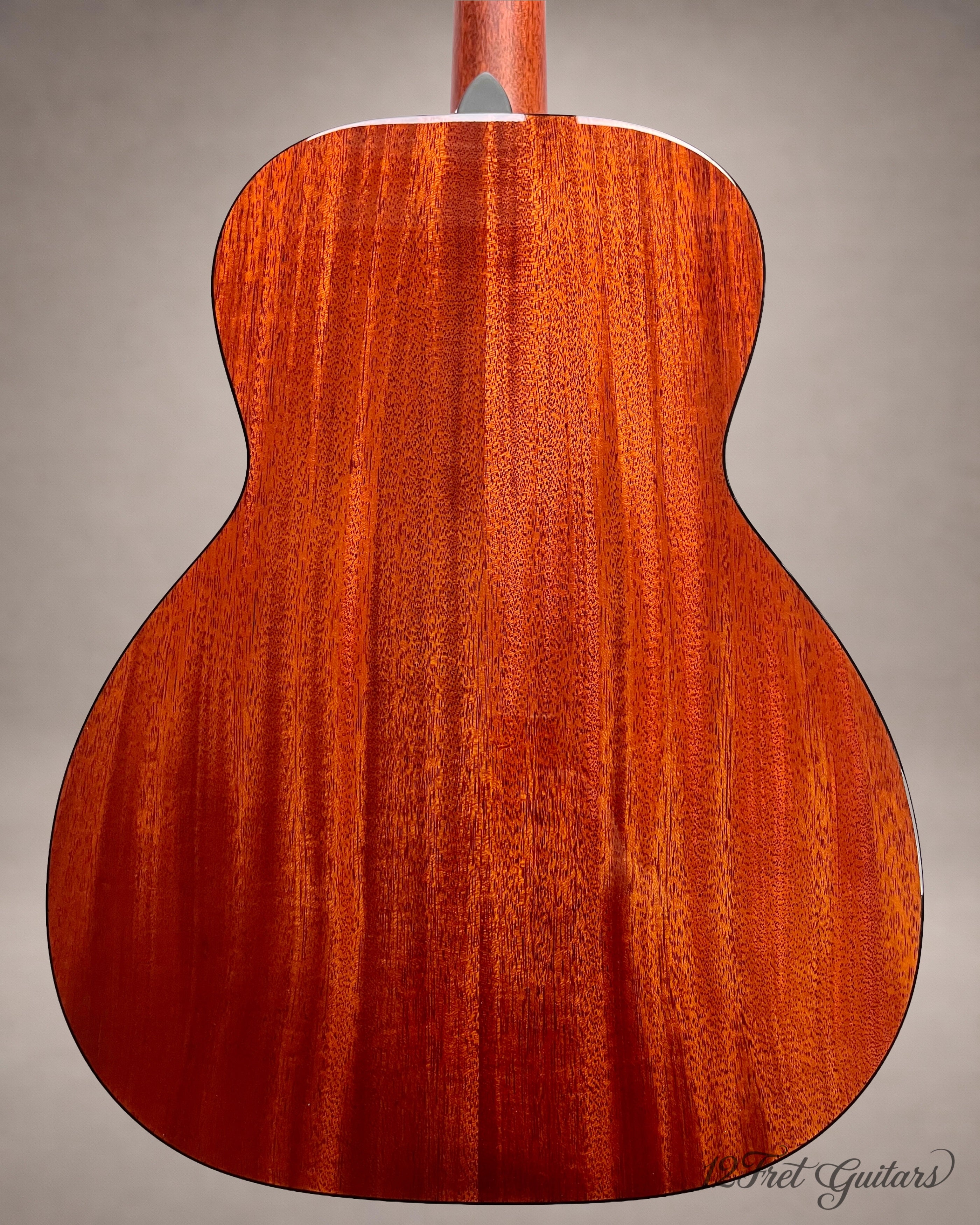 Stanford P-10 GE (2023) Akustikgitarre Details