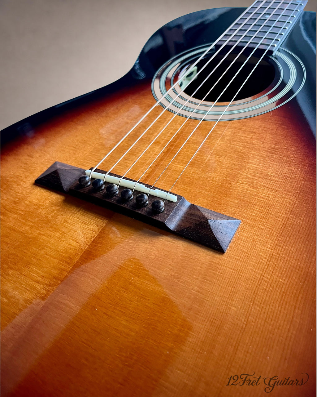 Stanford P-10 GE (2023) Akustikgitarre Details
