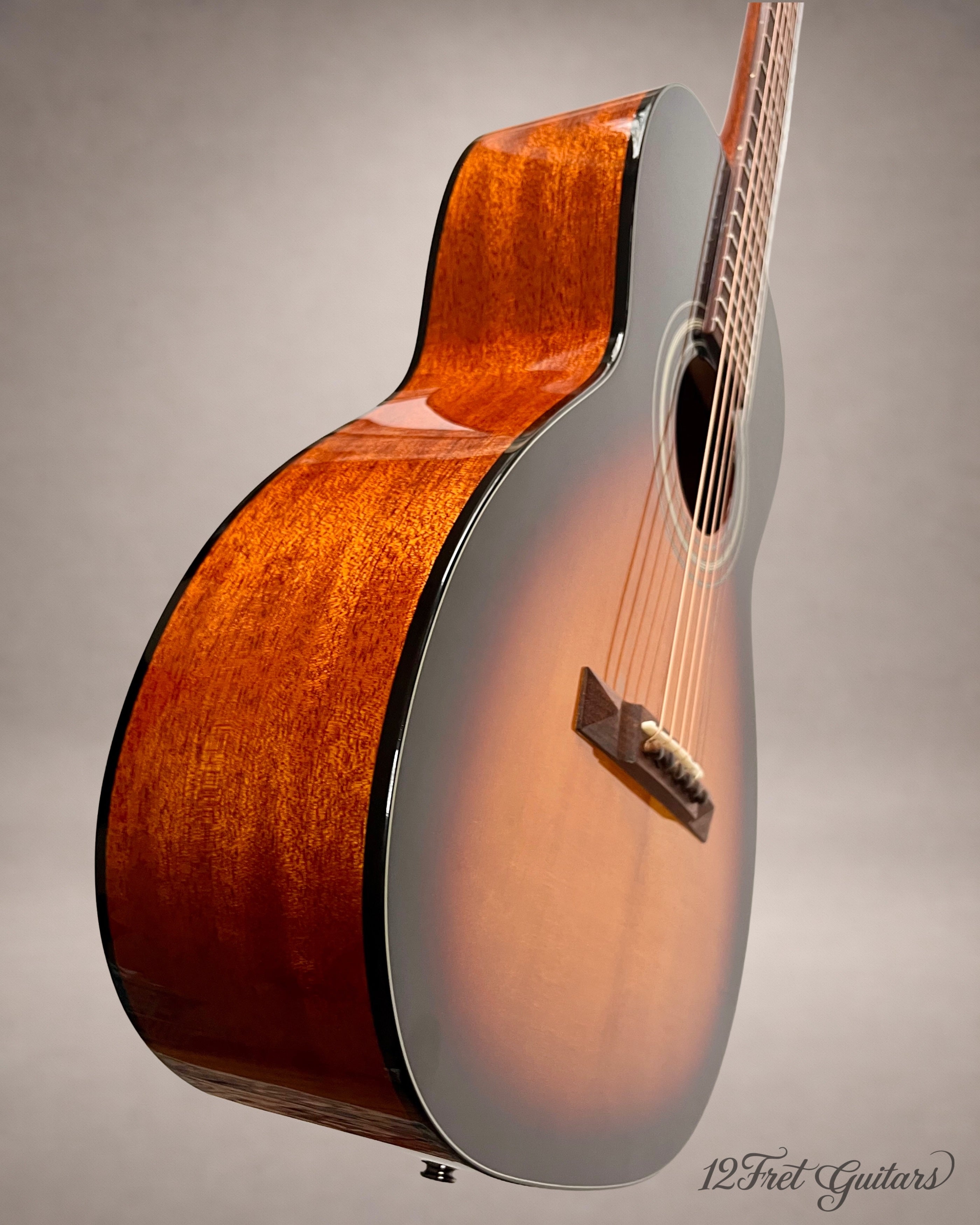 Stanford P-10 GE (2023) Akustikgitarre Details