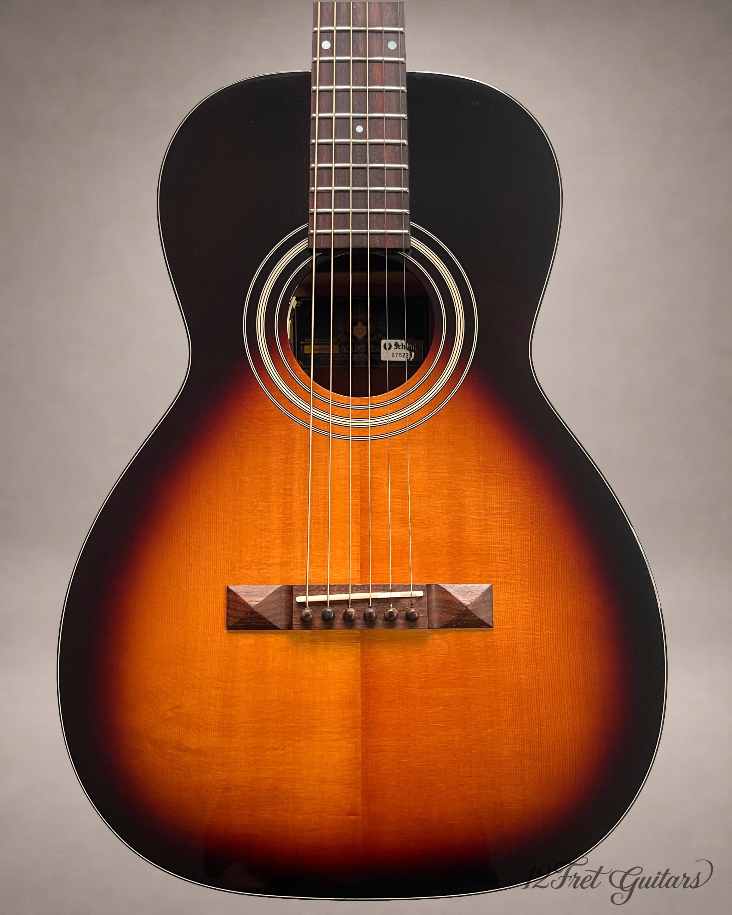 Stanford P-10 GE (2023) Akustikgitarre Details