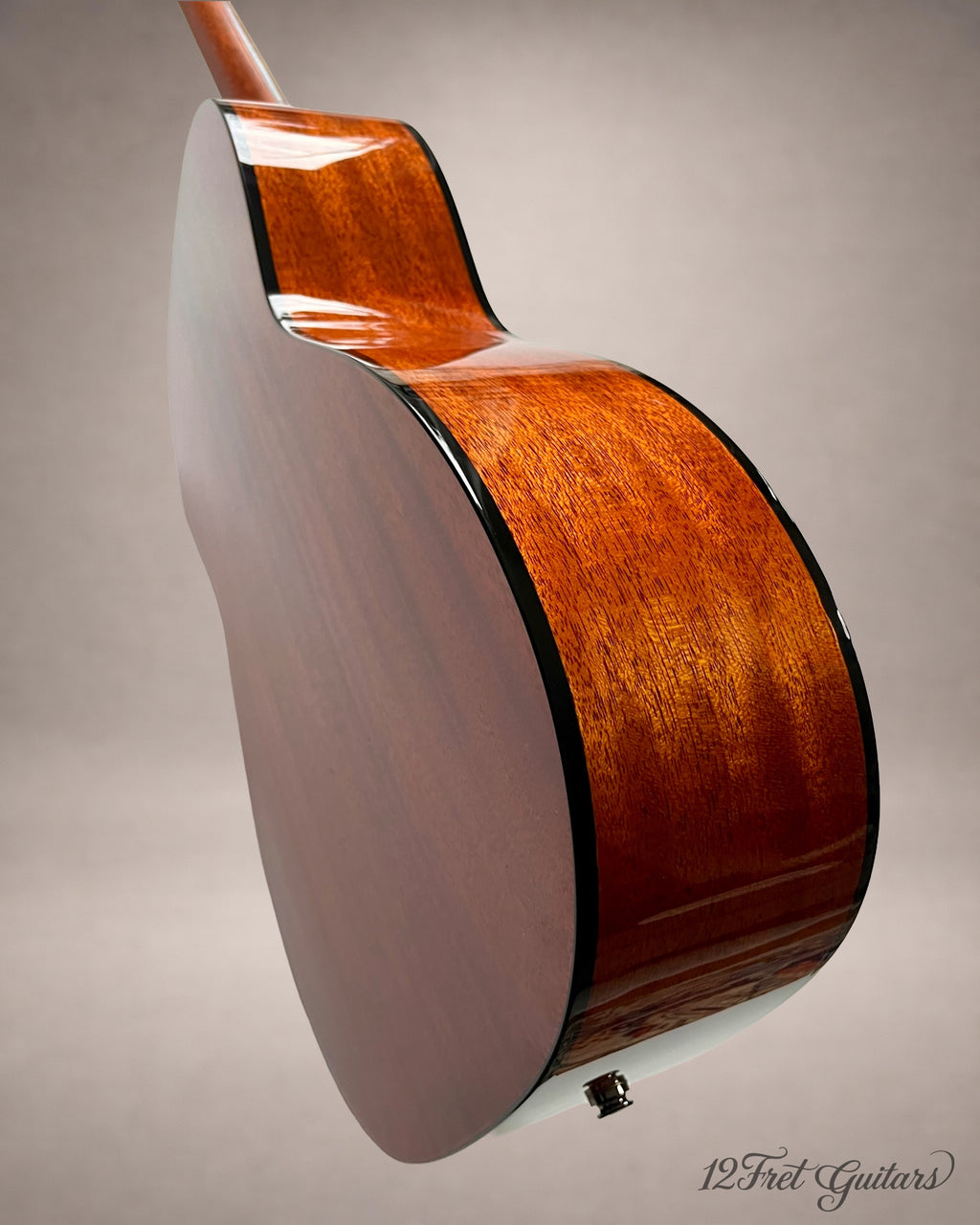 Stanford P-10 GE (2023) Akustikgitarre Details