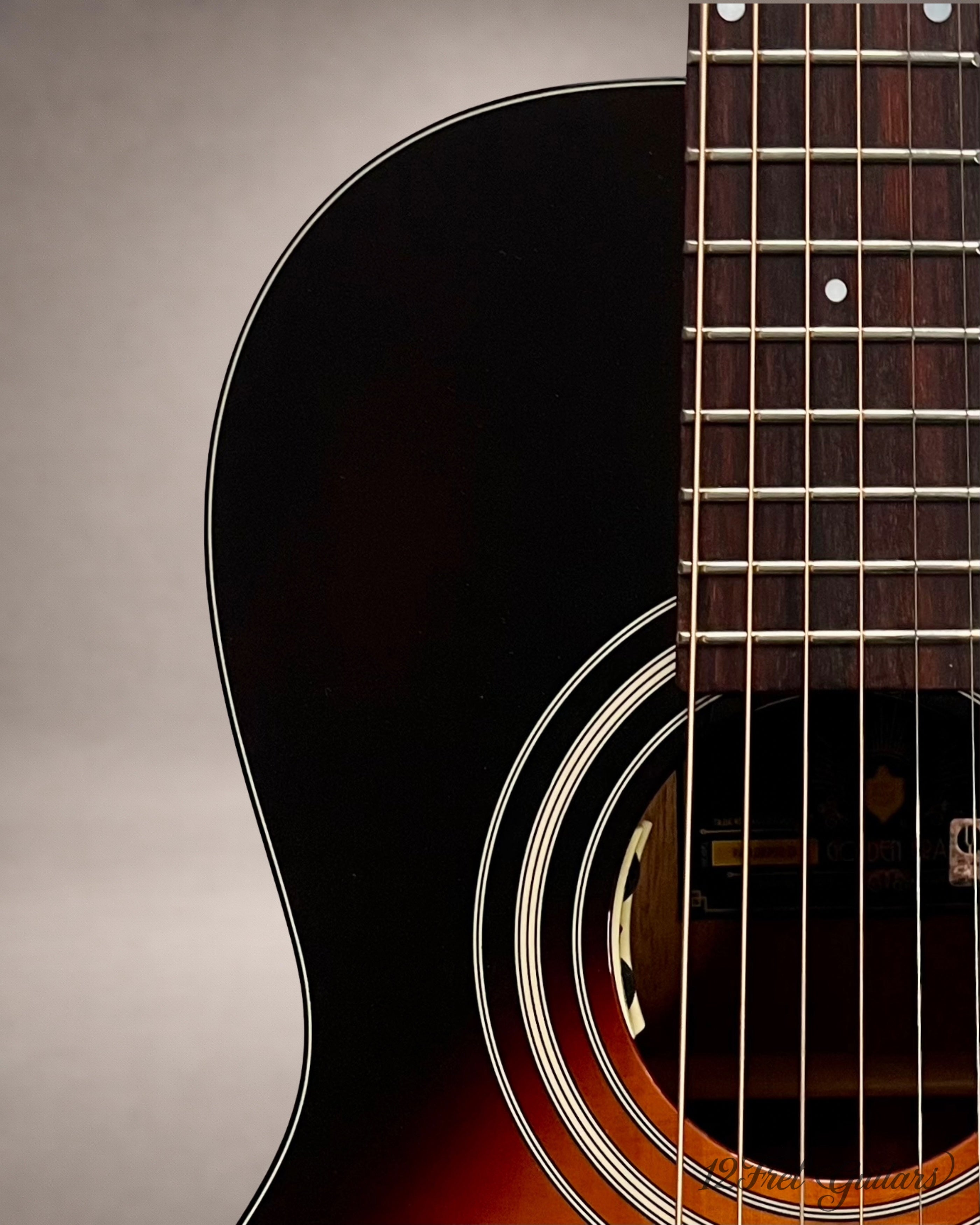 Stanford P-10 GE (2023) Akustikgitarre Details