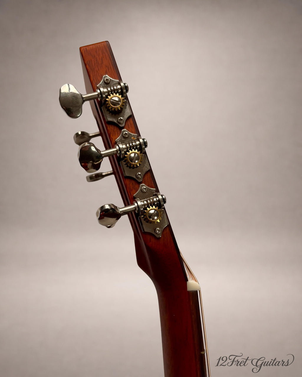 Stanford P-10 GE (2023) Akustikgitarre Details