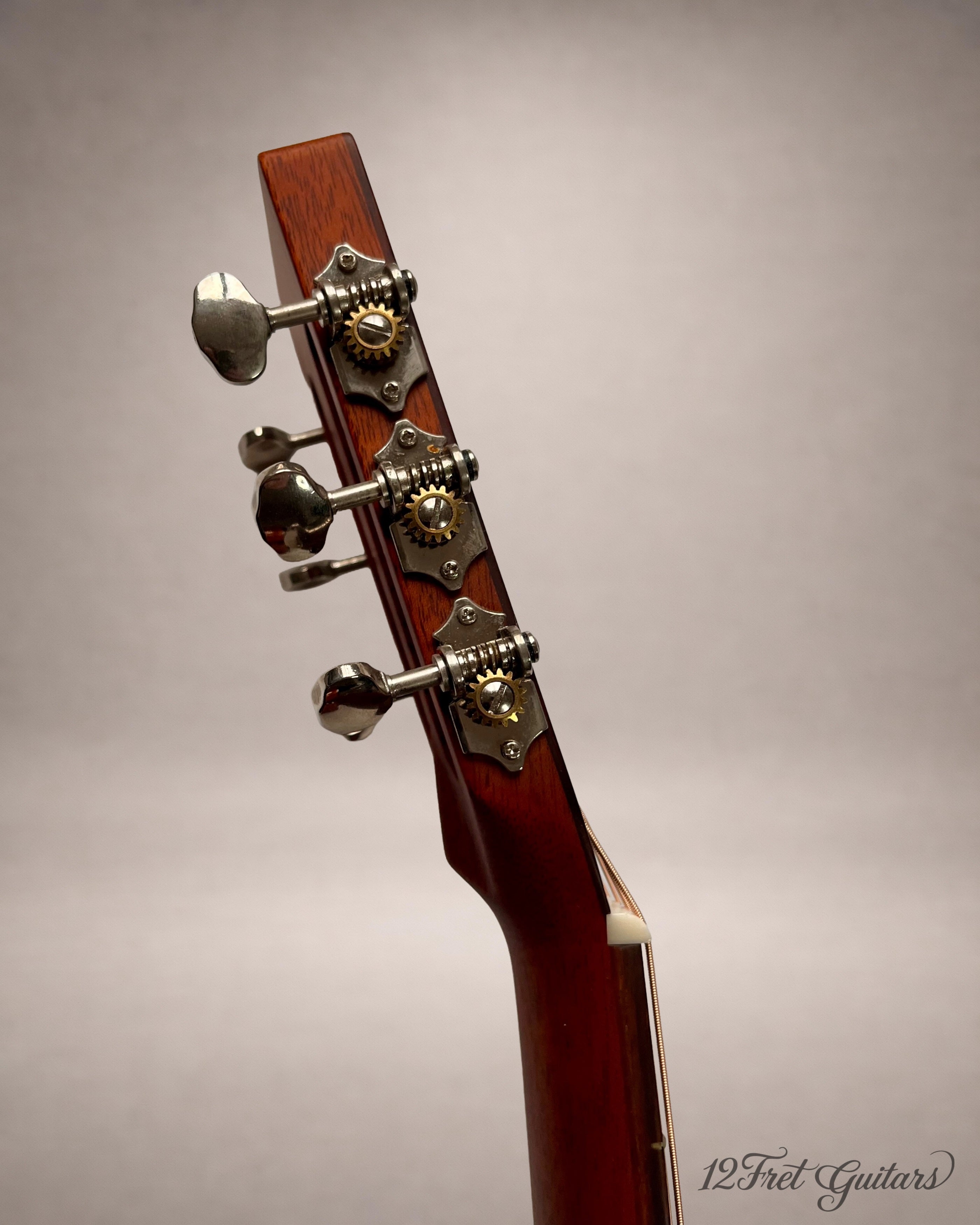 Stanford P-10 GE (2023) Akustikgitarre Details