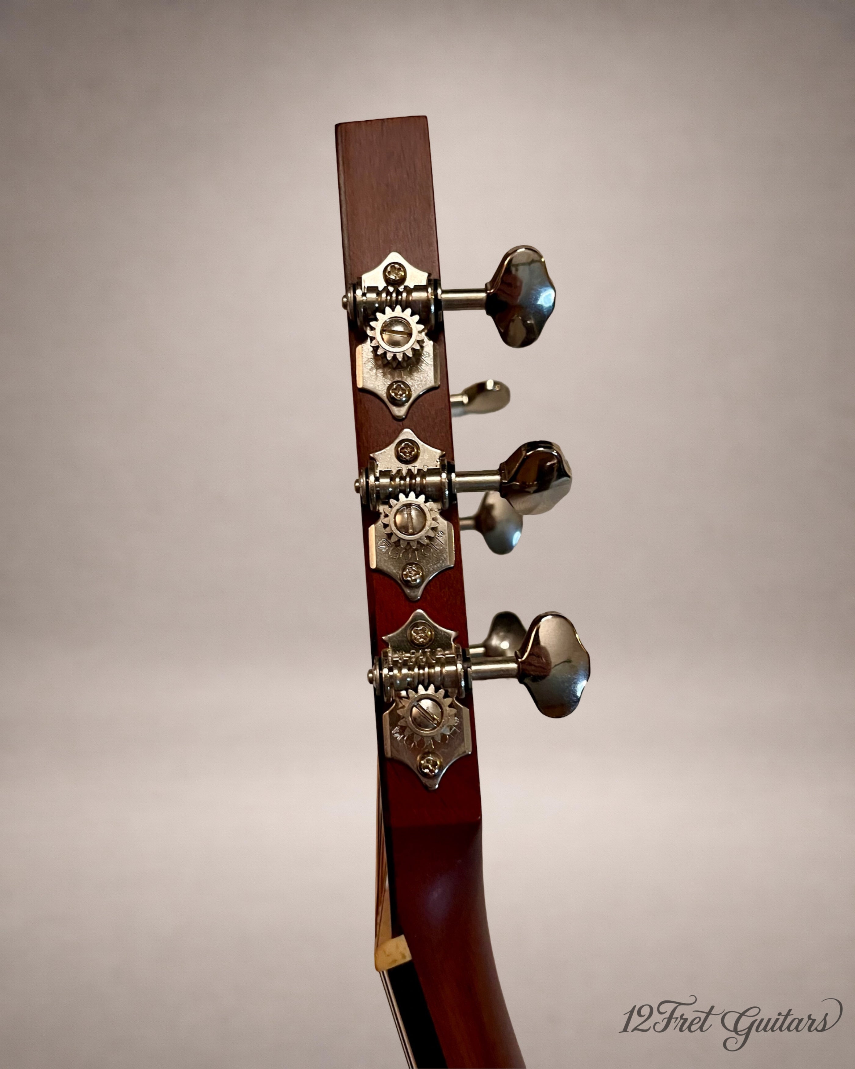 Stanford Furch RD5 Vintage (2008) Akustikgitarre Details