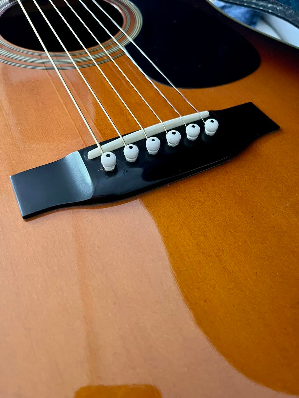 suzuki-we-120sb-bridge