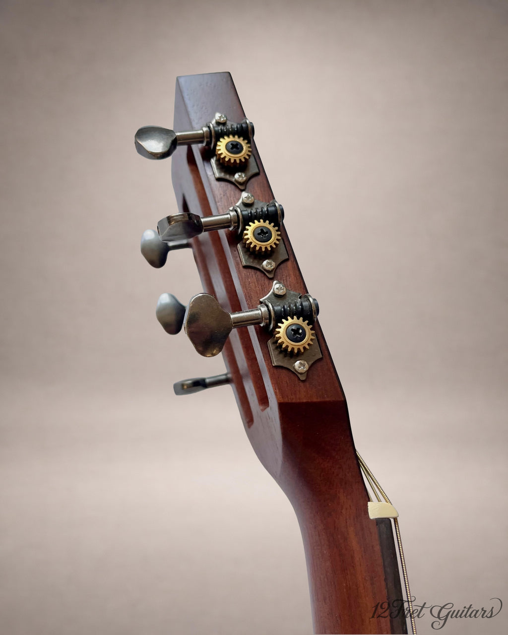 Vintage V880AQ Historic (2019) Akustikgitarre Details