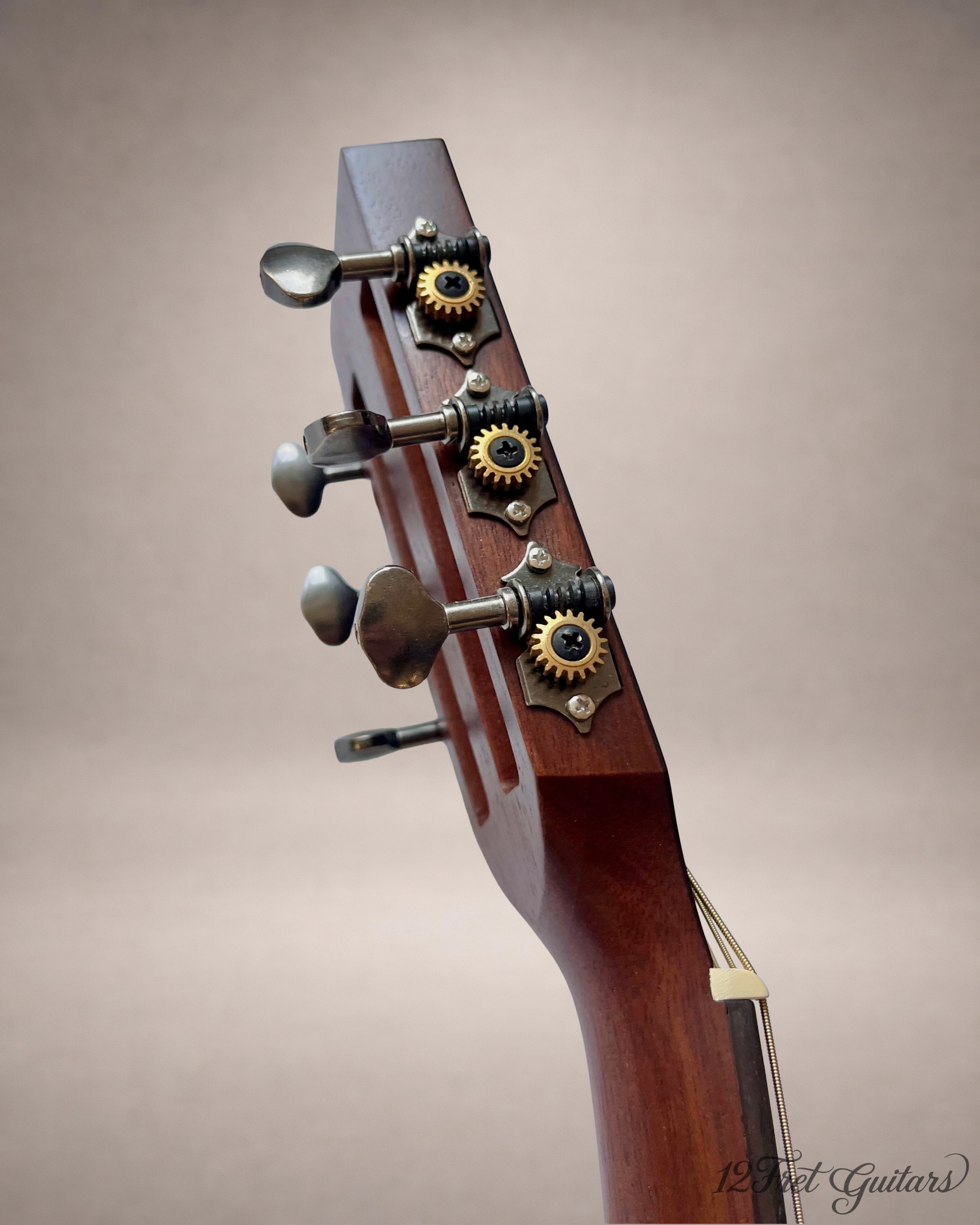 Vintage V880AQ Historic (2019) Akustikgitarre Details